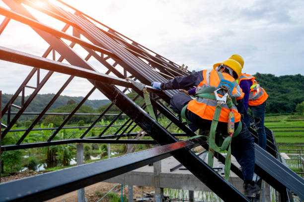 Best Roofing Contractor Near Me  in Monticello, IL